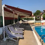 Beyaz דליאן