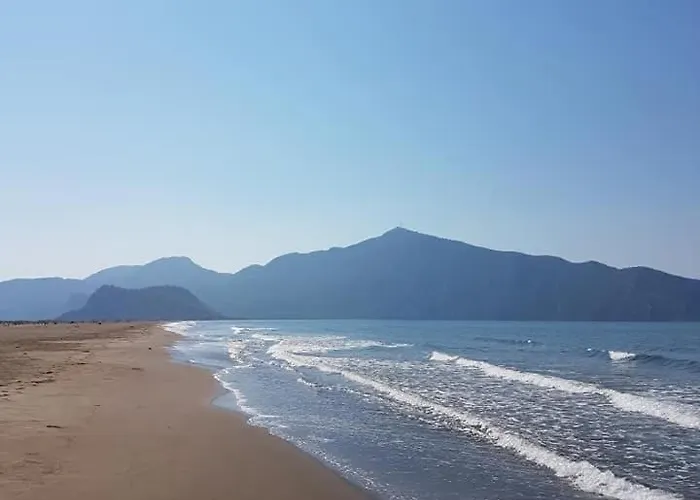 Beyaz Dalyan